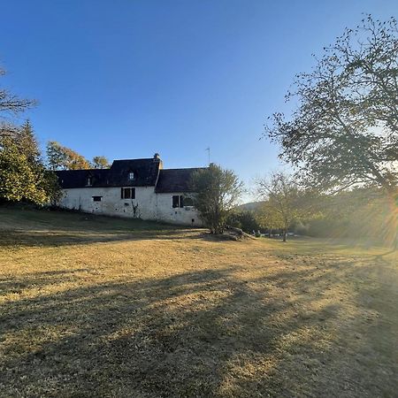 Villa Domaine Du Bonheur En Pierre Avec Piscine, Proche Sarlat Carlux Esterno foto