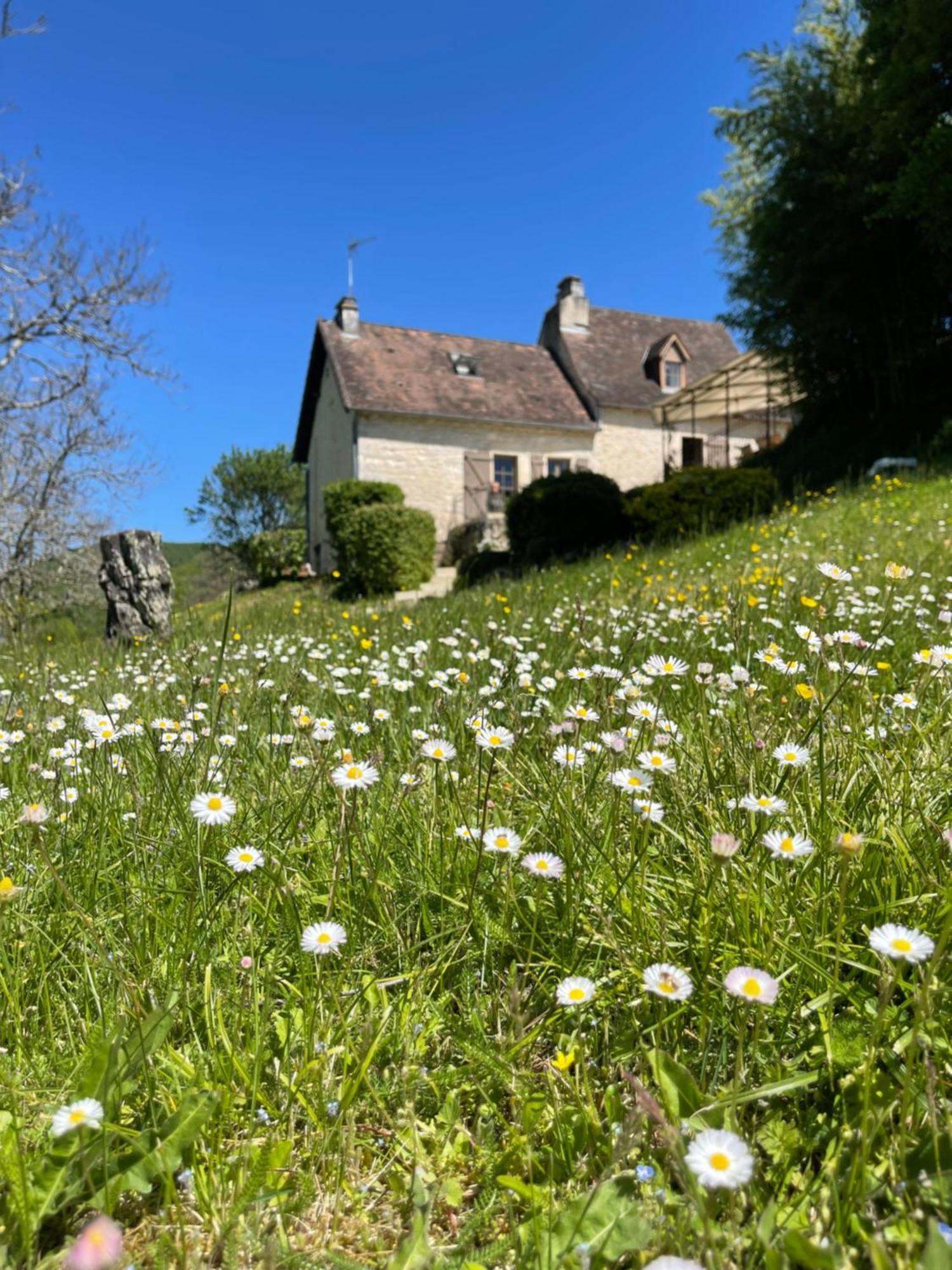 Villa Domaine Du Bonheur En Pierre Avec Piscine, Proche Sarlat Carlux Esterno foto